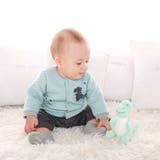 恐竜ガラガラ | fillot de bébé réduction | 詳細画像4 