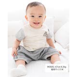 オーガニック  天竺 クマ Tシャツ (70~90cm) | fillot de bébé réduction | 詳細画像2 