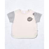 オーガニック  天竺 クマ Tシャツ (70~90cm) | fillot de bébé réduction | 詳細画像4 