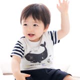 ボーダークジラTシャツ(70~90cm) | fillot de bébé réduction | 詳細画像1 