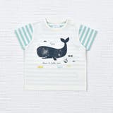 ボーダークジラTシャツ(70~90cm) | fillot de bébé réduction | 詳細画像12 