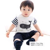 ボーダークジラTシャツ(70~90cm) | fillot de bébé réduction | 詳細画像2 