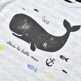 ボーダークジラTシャツ(70~90cm) | fillot de bébé réduction | 詳細画像9 