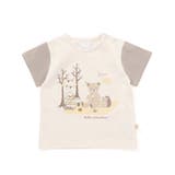 オーガニックコットンクマチェック半袖Tシャツ(70~90cm) | fillot de bébé réduction | 詳細画像4