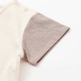 オーガニックコットンクマチェック半袖Tシャツ(70~90cm) | fillot de bébé réduction | 詳細画像7