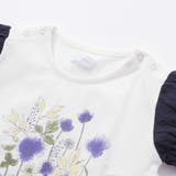 天竺花柄プリントパフスリーブTシャツ(70~90cm) | fillot de bébé réduction | 詳細画像6 