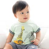 天竺アニマルプリントTシャツ(70~90cm) | fillot de bébé réduction | 詳細画像1