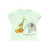 天竺アニマルプリントTシャツ(70~90cm) | fillot de bébé réduction | 詳細画像13