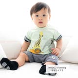 天竺アニマルプリントTシャツ(70~90cm) | fillot de bébé réduction | 詳細画像3