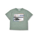 サファリカー写真プリントTシャツ(80~130cm) | Noeil aime BeBe | 詳細画像13 