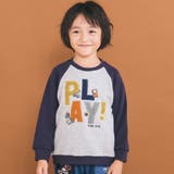 ネイビー(PLAY！) | はたらくくるまおもちゃぽこぽこサガラ刺しゅうラグラントレーナー | SLAP SLIP