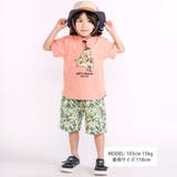 【お揃い 接触冷感】はたらくくるまフルーツボタニカル総柄ハーフパンツ(80~13… | SLAP SLIP | 詳細画像2 