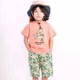 【お揃い 接触冷感】はたらくくるまフルーツボタニカル総柄ハーフパンツ(80~13… | SLAP SLIP | 詳細画像23 