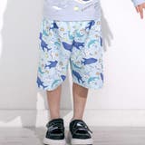 【お揃い】はたらくくるまうみのいきものフルーツ総柄パンツ型スイムウェア(90~1… | SLAP SLIP | 詳細画像1 