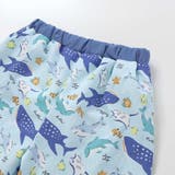 【お揃い】はたらくくるまうみのいきものフルーツ総柄パンツ型スイムウェア(90~1… | SLAP SLIP | 詳細画像13 