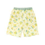 【お揃い】はたらくくるまうみのいきものフルーツ総柄パンツ型スイムウェア(90~1… | SLAP SLIP | 詳細画像19 