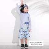 【お揃い】はたらくくるまうみのいきものフルーツ総柄パンツ型スイムウェア(90~1… | SLAP SLIP | 詳細画像2 