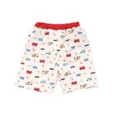 【お揃い】はたらくくるまうみのいきものフルーツ総柄パンツ型スイムウェア(90~1… | SLAP SLIP | 詳細画像9 