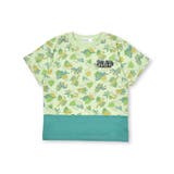 グリーン系 | アニマル恐竜柄切り替え半袖Tシャツ(80~130cm) | SLAP SLIP