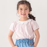 ピンク系(ボーダー) | スカラップ襟後ろゴム無地ボーダーTシャツ(80~130cm) | SLAP SLIP
