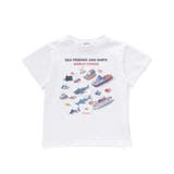 海の生き物恐竜のりもの仕掛けめくる知育フリップTシャツ(80~130cm) | SLAP SLIP | 詳細画像4 