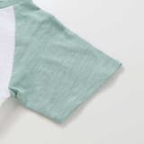 飛行機クルマ恐竜刺しゅうプリントラグランTシャツ(80~130cm) | SLAP SLIP | 詳細画像12 