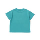 【水にぬれると色が変わる！？】恐竜水遊びプリントTシャツ(80~130cm) | SLAP SLIP | 詳細画像16 