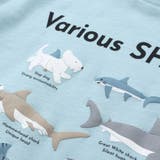 【吸汗速乾】恐竜サメ図鑑風発泡プリントTシャツ(80~130cm) | SLAP SLIP | 詳細画像10