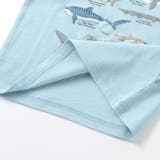 【吸汗速乾】恐竜サメ図鑑風発泡プリントTシャツ(80~130cm) | SLAP SLIP | 詳細画像14