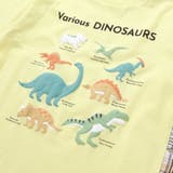 【吸汗速乾】恐竜サメ図鑑風発泡プリントTシャツ(80~130cm) | SLAP SLIP | 詳細画像18