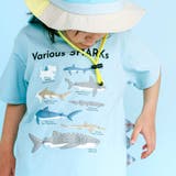 【吸汗速乾】恐竜サメ図鑑風発泡プリントTシャツ(80~130cm) | SLAP SLIP | 詳細画像4