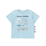 【吸汗速乾】恐竜サメ図鑑風発泡プリントTシャツ(80~130cm) | SLAP SLIP | 詳細画像6