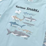 【吸汗速乾】恐竜サメ図鑑風発泡プリントTシャツ(80~130cm) | SLAP SLIP | 詳細画像9