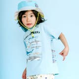 ブルー | 【吸汗速乾】恐竜サメ図鑑風発泡プリントTシャツ(80~130cm) | SLAP SLIP