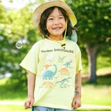 イエロー | 【吸汗速乾】恐竜サメ図鑑風発泡プリントTシャツ(80~130cm) | SLAP SLIP