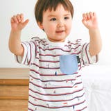 マリンボーダー×胸ポケット | 【スララク 防汚加工 オーガニックコットン】わくわく男の子半袖Tシャツ(80~1… | SLAP SLIP