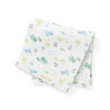 恐竜柄(グリーン系) | 【お揃い】恐竜イチゴおもちゃマルチ総柄ガーゼおくるみ | SLAP SLIP