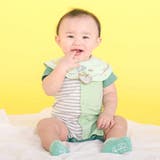 アニマルクマクジラ恐竜飛び出しモチーフスタイベビー | SLAP SLIP | 詳細画像3 