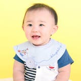 ブルー | アニマルクマクジラ恐竜飛び出しモチーフスタイベビー | SLAP SLIP