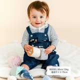 無地ボーダーアニマルクマ恐竜刺しゅうライン襟付きボディミニベビー(70~80cm… | SLAP SLIP | 詳細画像3 