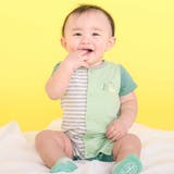 グリーン系 | くじらクマ恐竜アニマルおしりモチーフボーダー切り替えロンパースベビー(60~80… | SLAP SLIP