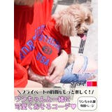 犬服 犬服 ドッグウェア | Ryuyu | 詳細画像1 