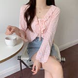 ピンク | レース カーディガン シアー | Beststore