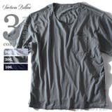 大きいサイズ メンズ SARTORIA | 大きいサイズの店ビッグエムワン  | 詳細画像1