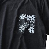 DANIEL DODD オーガニックプリント半袖Tシャツ | 大きいサイズの店ビッグエムワン  | 詳細画像7 