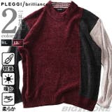 大きいサイズ メンズ PLEGGI | 大きいサイズの店ビッグエムワン  | 詳細画像1 