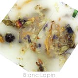 サンタ マリア ノヴェッラ | BLANC LAPIN | 詳細画像3