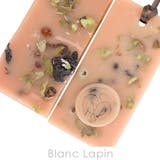 サンタ マリア ノヴェッラ | BLANC LAPIN | 詳細画像3