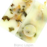 サンタ マリア ノヴェッラ | BLANC LAPIN | 詳細画像3