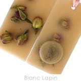 サンタ マリア ノヴェッラ | BLANC LAPIN | 詳細画像3